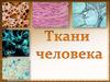 Ткани человека