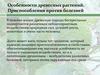 Особенности древесных растений. Приспособления против болезней