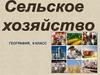 Сельское хозяйство