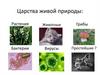 Царства живой природы. Признаки царства растений
