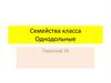 Семейства класса Однодольные