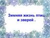 Зимняя жизнь птиц и зверей