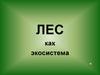 Лес как экосистема