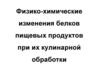 Физико-химические изменения белков пищевых продуктов при их кулинарной обработки