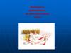Препараты, применяемые на догоспитальном этапе