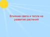 Влияние света и тепла на развитие растений