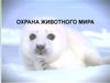 Охрана животного мира