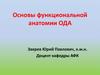 Основы функциональной анатомии ОДА