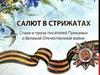 Салют в Стрижатах