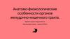 Анатомо-физиологические особенности органов желудочно-кишечного тракта
