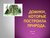 Домики природы. 1 класс