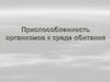 Приспособленность организмов к среде обитания