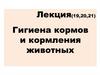 Гигиена кормов и кормления животных