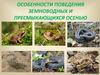 Особенности поведения земноводных и пресмыкающихся осенью
