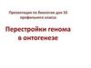 Перестройки генома в онтогенезе. 10 класс