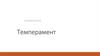 Темперамент человека