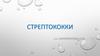 Стрептококки