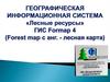 Географическая информационная система Лесные ресурсы