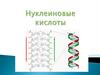 Нуклеиновые кислоты