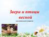 Звери и птицы весной (старший дошкольный возраст)
