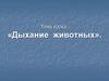 Дыхание животных