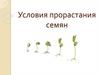Условия прорастания семян