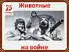 Животные на войне