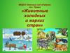 Животные холодных и жарких стран