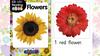 Flowers Book Kids Interactive