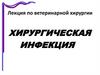 Лекция по ветеринарной хирургии