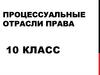 Процессуальные отрасли права