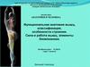 Функциональная анатомия мышц, классификация, особенности строения. Сила и работа мышц, элементы биомеханики
