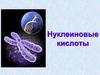 Нуклеиновые кислоты