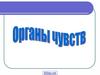 Органы чувств