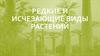 Редкие и исчезающие виды растений