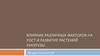 Влияние различных факторов на рост и развитие растений кукурузы