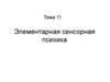 Элементарная сенсорная психика. Тема 11