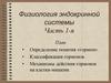 Физиология эндокринной системы человека