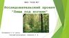 Исследовательский проект "Пища под ногами"