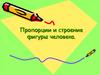 Пропорции и строение фигуры человека