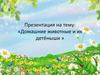 Домашние животные и их детёныши