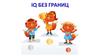 IQ без границ. Игра
