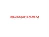 Эволюция человека