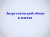 Энергетический обмен в клетке