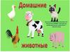 Домашние животные. Формирование, расширение и обобщение знаний детей о домашних животных