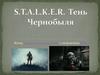S.T.A.L.K.E.R. Тень Чернобыля. Игра в жанре шутер от первого лица с элементами RPG