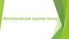 Экологические группы птиц
