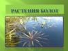 Растения болот