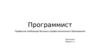 Программист. Профессия требующая Высшего профессионального образования