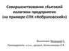 Совершенствование сбытовой политики предприятия (на примере СПК «Кобраловский»)